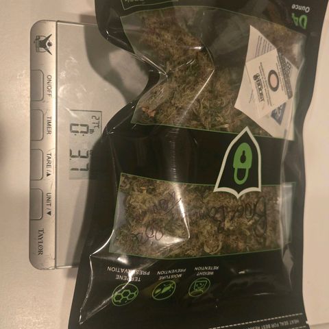 BRUCE BANNER growlog timeline photo