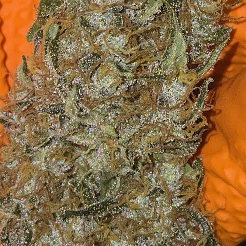 BRUCE BANNER growlog timeline photo