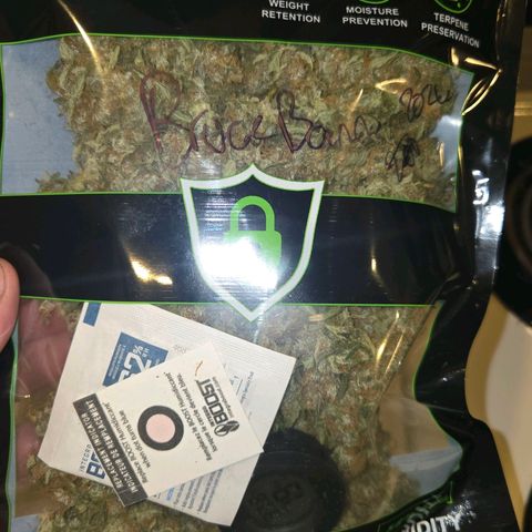 BRUCE BANNER growlog timeline photo