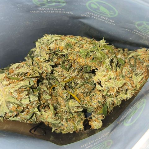 BRUCE BANNER growlog timeline photo