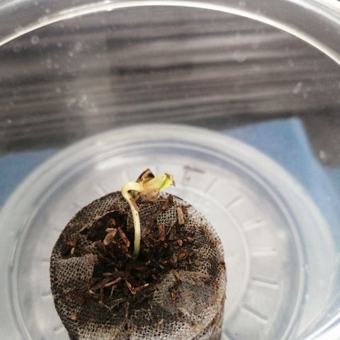 Teddy growlog timeline photo