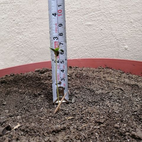 Teddy growlog timeline photo