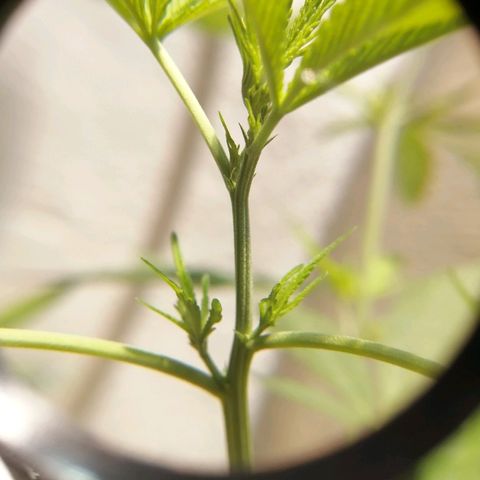 Teddy growlog timeline photo