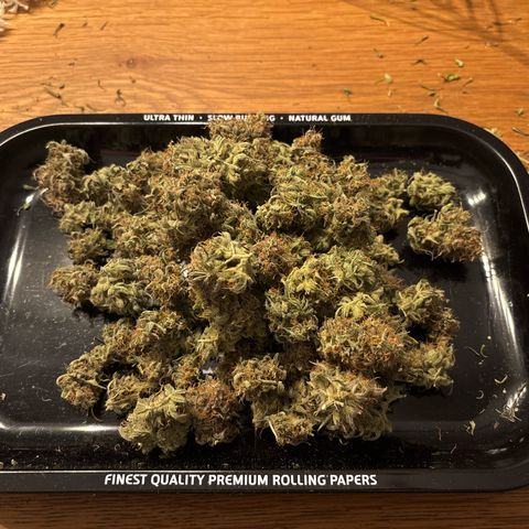 #2 White Widow Automatic  growlog photo: 35g trocken 