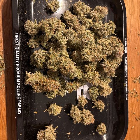 #1 White Widow Automatic growlog photo: 26g trocken 