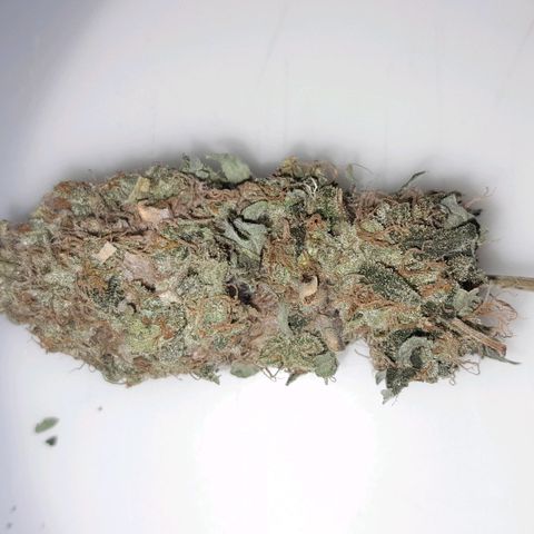 GG 1# growlog photo: 5 Dias de Secagem.