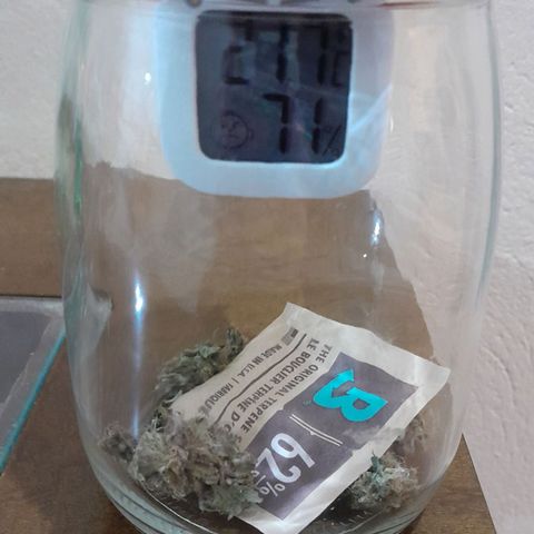 GG 1# growlog photo: Início da Cura de 4 Semanas.