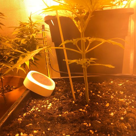 Gina growlog timeline photo