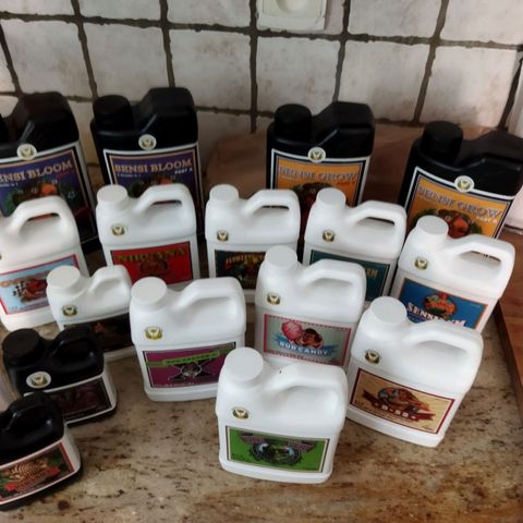 Zkittlez Auto growlog photo: Mise en pot, voici mon set up, engrais, terre plus ajout substrat