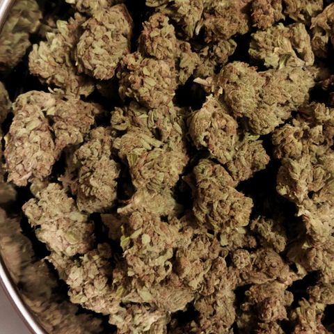 Zkittlez Auto growlog photo: 251,18 grammes