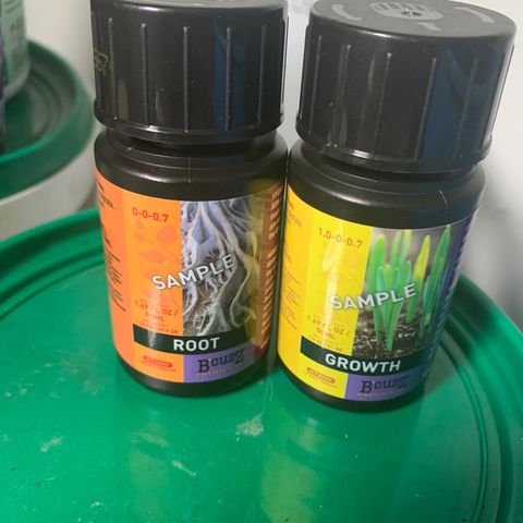 Zkittle LPC, TP & Palp Kush growlog photo: New lights 2 AC inifinity 100w