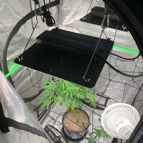 Zkittle Gpa growlog timeline photo