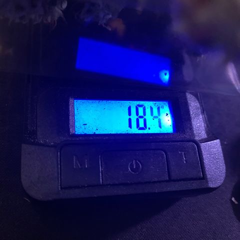 Zkittle LPC, TP & Palp Kush growlog photo: Trash panda