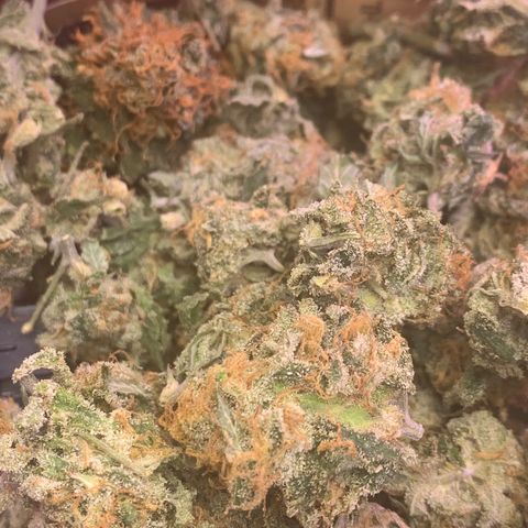 Zkittle LPC, TP & Palp Kush growlog photo: ZKITTLE FINISHED PRODUCT