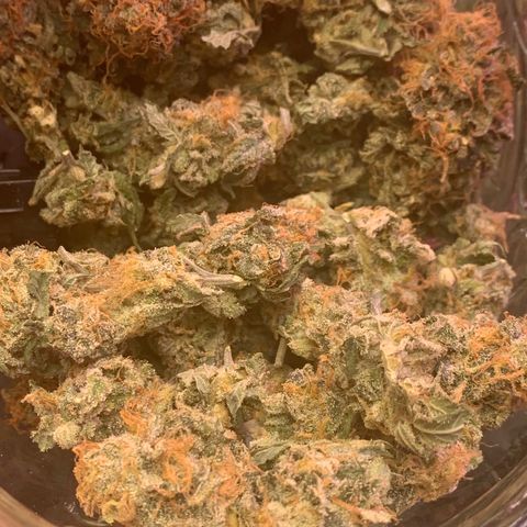 Zkittle LPC, TP & Palp Kush growlog photo: ZKITTLE FINISHED PRODUCT
