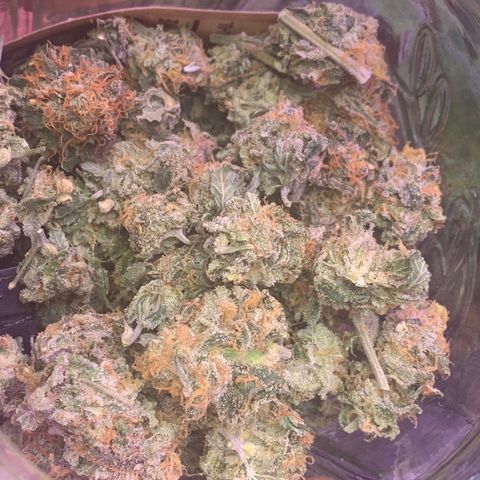 Zkittle LPC, TP & Palp Kush growlog photo: ZKITTLE FINISHED PRODUCT