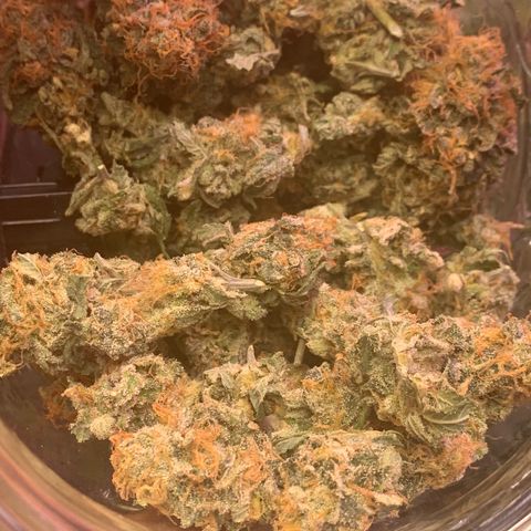 Zkittle LPC, TP & Palp Kush growlog photo: ZKITTLE FINISHED PRODUCT