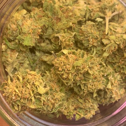 Zkittle LPC, TP & Palp Kush growlog photo: BB FINISH PRODUCT