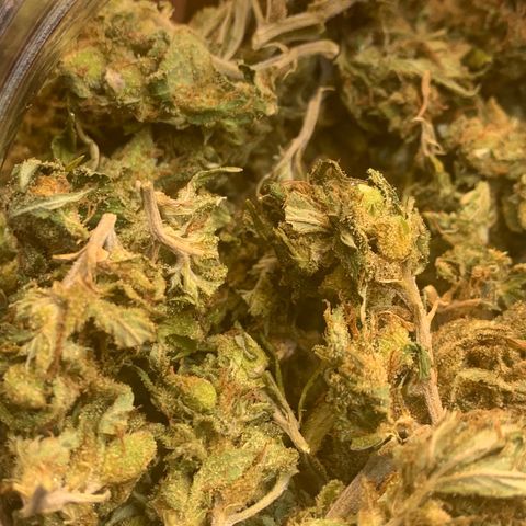 Zkittle LPC, TP & Palp Kush growlog photo: SOUR FINAL 119oz