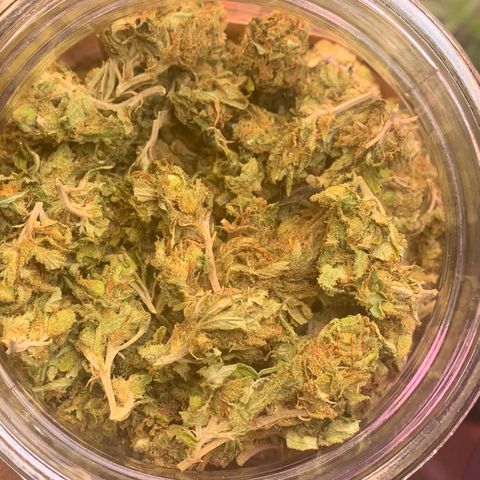 Zkittle LPC, TP & Palp Kush growlog photo: SOUR FINAL 119oz