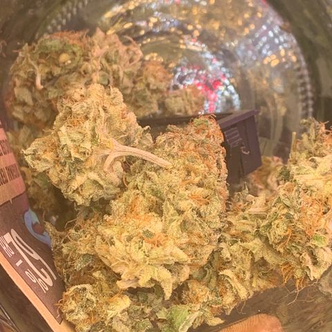 Zkittle LPC, TP & Palp Kush growlog photo: T.PANDA FINAL