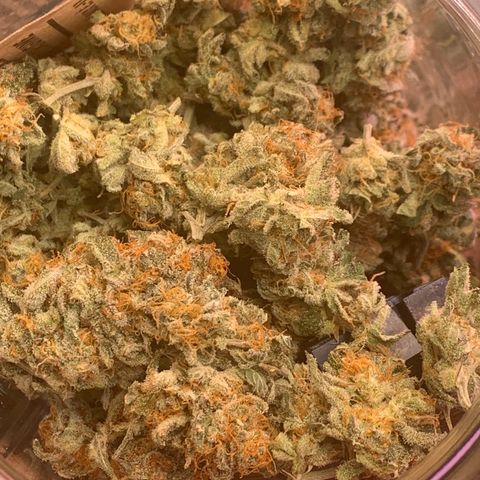 Zkittle LPC, TP & Palp Kush growlog photo: LEMONPOUNTCAKE FINAL