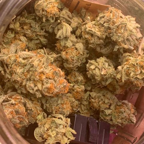 Zkittle LPC, TP & Palp Kush growlog photo: LEMONPOUNDCAKE FINAL