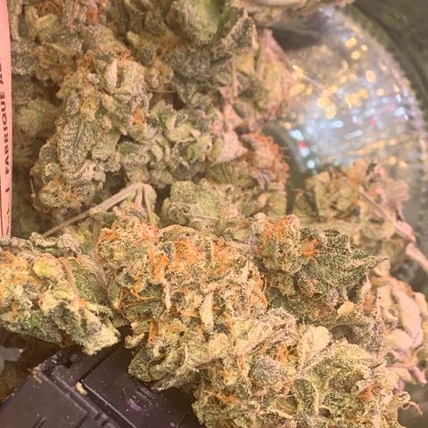 Zkittle LPC, TP & Palp Kush growlog photo: PALPATINE KUSH FINAL
