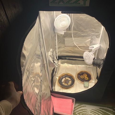 Mota Hari XX growlog photo: Leaving the 2x2