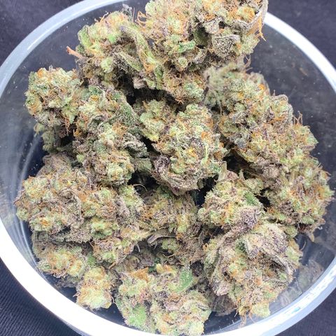 Mota Hari XX growlog timeline photo