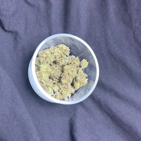 Mota Hari XX growlog timeline photo