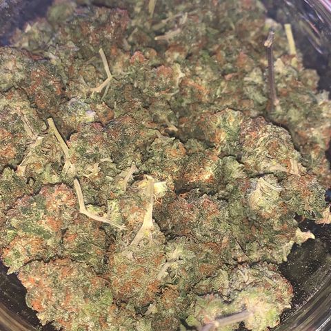 Zkittle Gpa growlog photo: Final harvest 52g