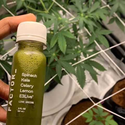 Tangie Auto 🍊  growlog photo: Look at that bend