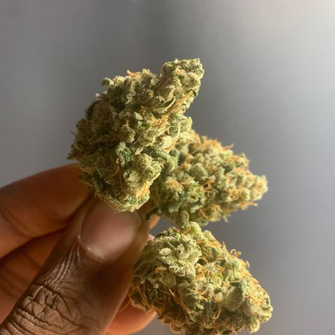 Tangie Auto 🍊  growlog photo: Finished flower 