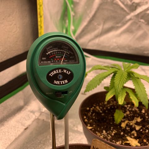 Northern 1 growlog photo: Soil humidity level on 3