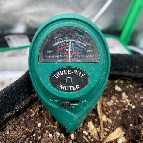 Northern 1 growlog photo: Nivel humedad idílico ?