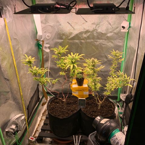 Northern 1 growlog timeline photo