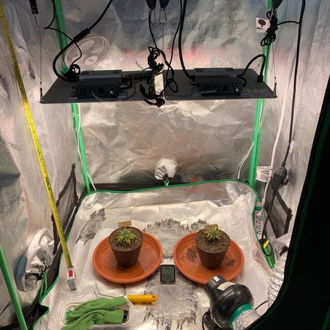 Highlander growlog photo: Nuevo comienzo