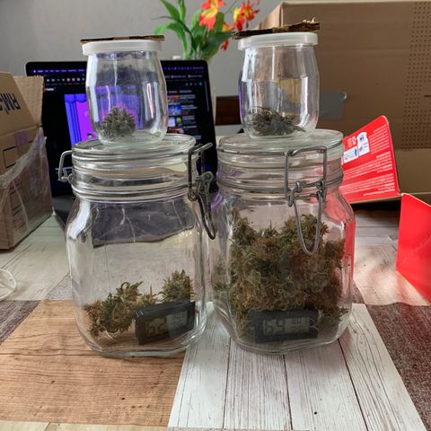 Northern 1 growlog photo: Curado 