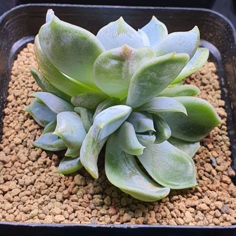 Test3 growlog timeline photo