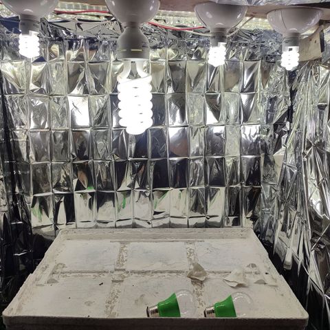 Auto Cheese XXL growlog photo: Cambio de foco a potencia alta y calor cerca 
