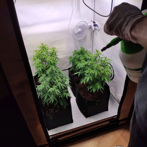 Sturmtief SABINE growlog timeline photo