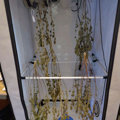 Sturmtief SABINE growlog timeline photo