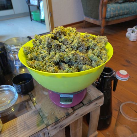 Sturmtief SABINE growlog timeline photo