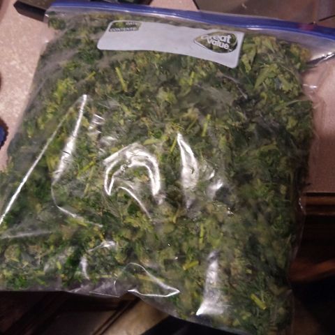 FP growlog photo: 207.6g of harvest trim