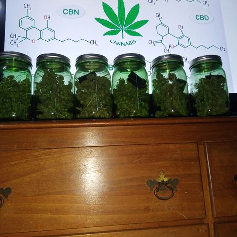 FP growlog photo: 158.4 grams jarred. Curing begins