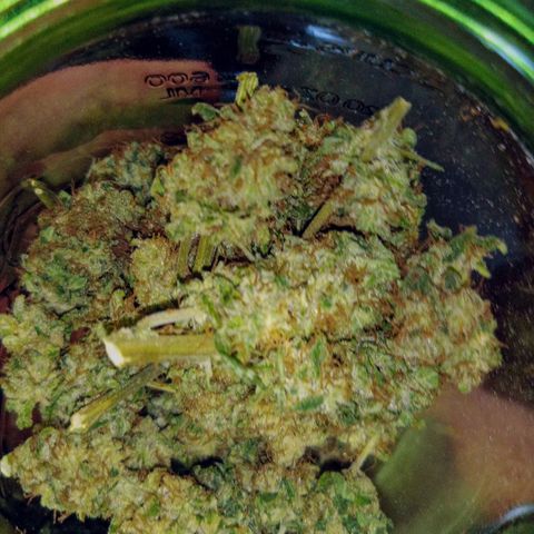 FP growlog photo: Peek inside one of the 6 jars.