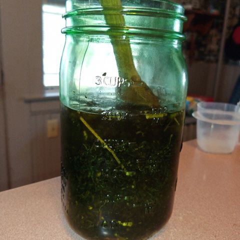 FP growlog photo: Photo from RSO procedure. Note: had to add Everclear as plant material soaked it up after this photo was taken