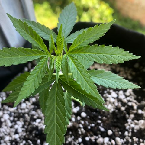 Baby sister growlog photo: Fomos atacadas por algo 😱