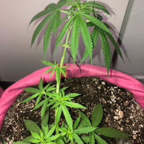 Baby sister growlog photo: Muita água 